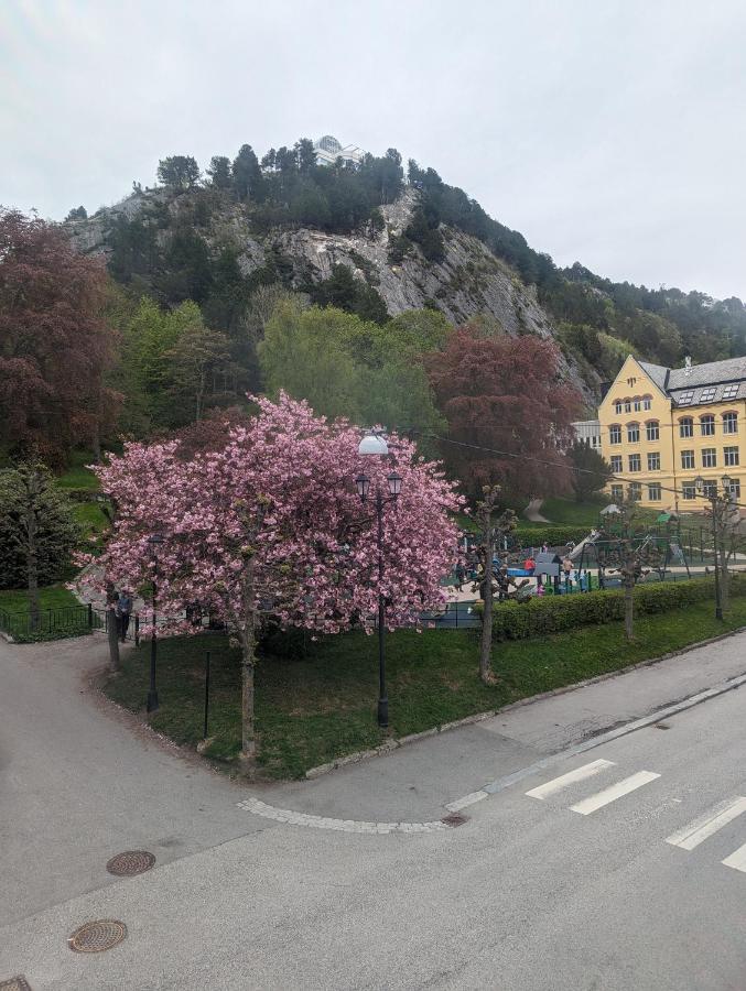 Family Friendly Apartment By The Park In The Very Center Of Alesund Exterior photo